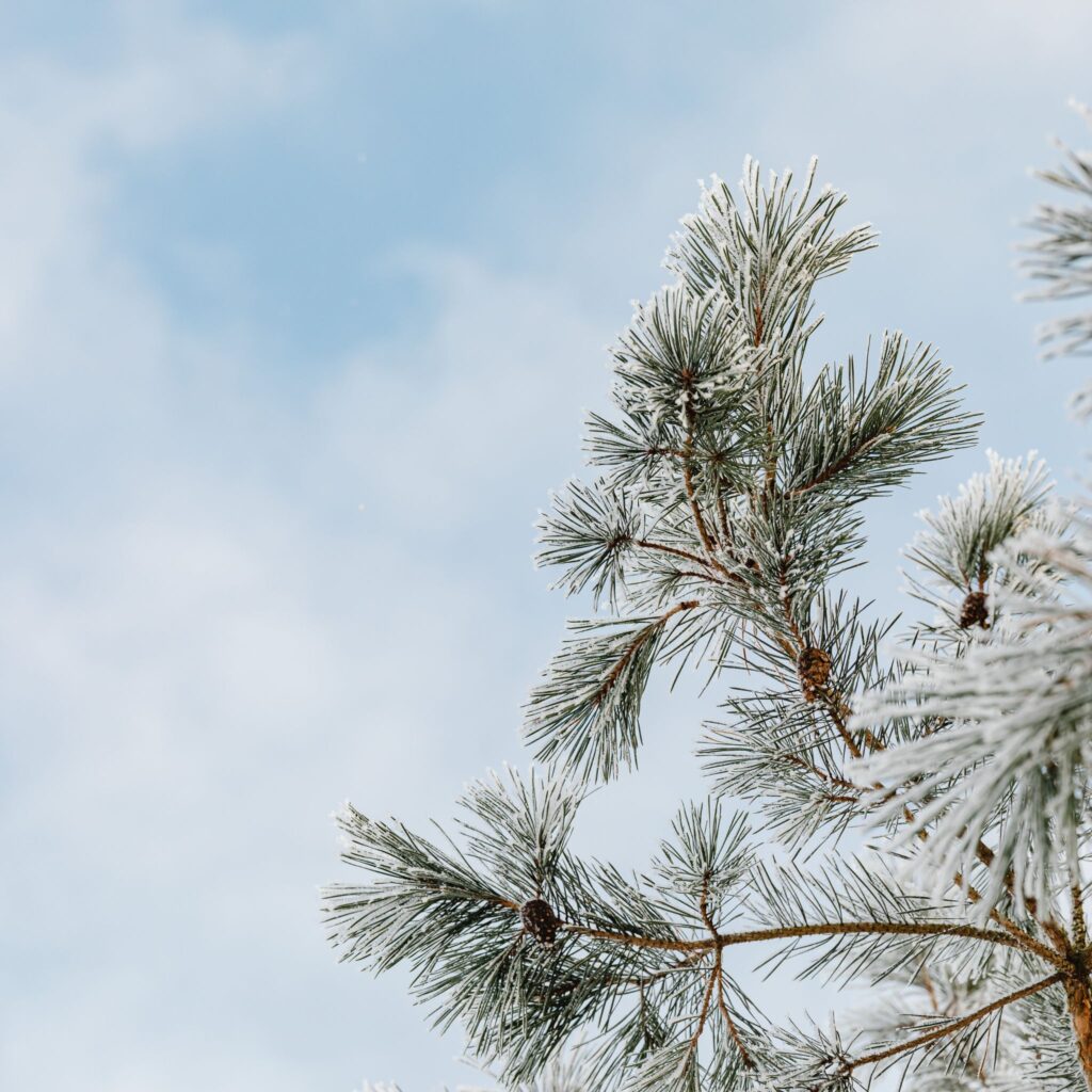 STYCZEŃ 2026 | NOTATKI Z&nbsp;ŻYCIA