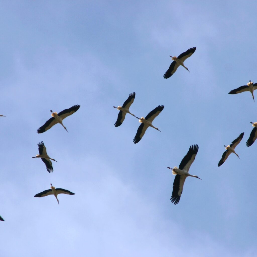 MARZEC 2026 | NOTATKI Z&nbsp;ŻYCIA